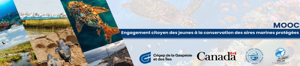 Appel à participation : Cours en ligne gratuit « Engagement citoyen des jeunes pour la conservation des aires marines protégées » / Gouvernement du&nbsp;Canada