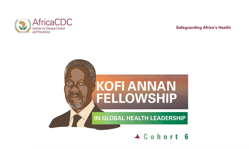 Les candidatures sont maintenant ouvertes pour la cohorte 6 de la bourse Kofi Annan en leadership en santé&nbsp;mondiale.
